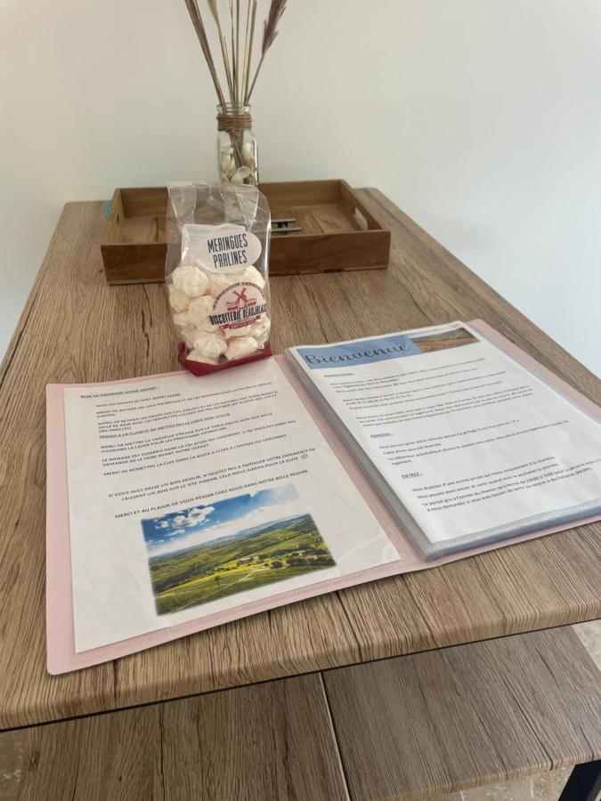 Bienvenue En Beaujolais Leilighet Saint-Jean-dʼArdières Eksteriør bilde